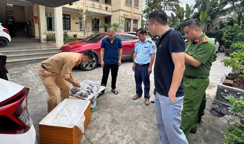 Đội QLTT số 3 phối hợp với lực lượng Công an khám thùng xốp chứa 5.600.000 con ngao hoa giống.