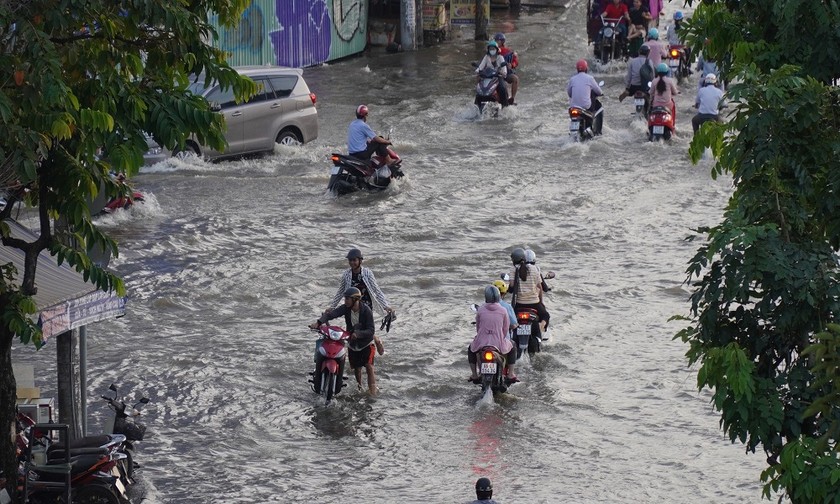 Ảnh minh họa: Lê Phong