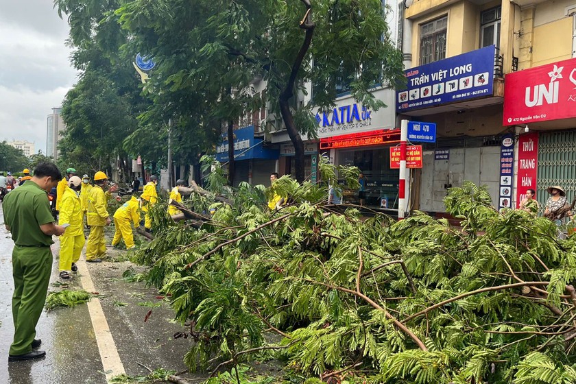 Người dân Hà Nội chung tay hỗ trợ lực lượng chức năng khắc phục hậu quả sau bão.