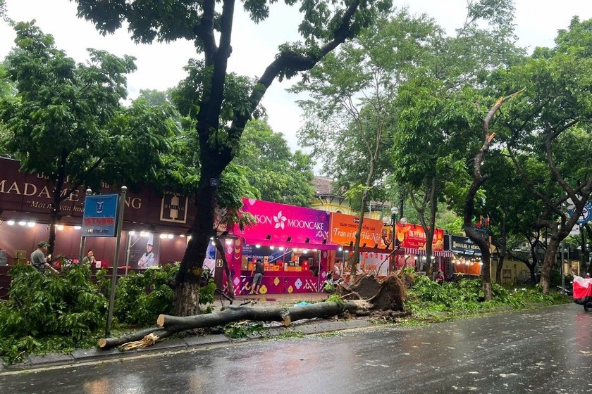 Cây xanh đổ ngổn ngang trước những gian hàng bán bánh Trung Thu trên phố Phan Đình Phùng.