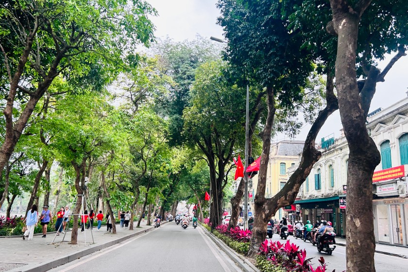 Ảnh minh hoạ: Ngọc Nga 
