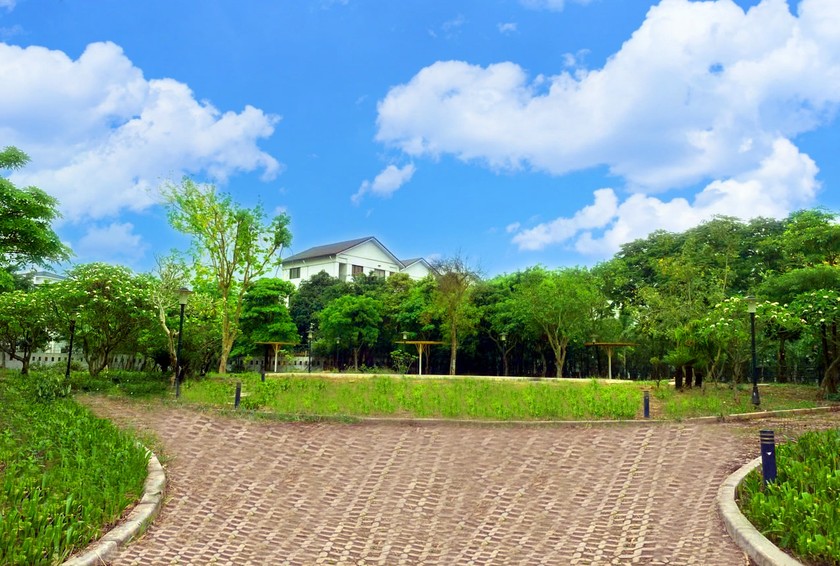 Chủ đầu tư trồng mới nhiều khu cây xanh, giúp cảnh quan thay đổi từng ngày.