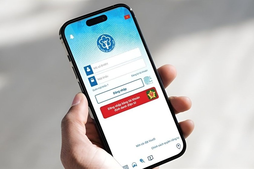 Ảnh minh họa: Internet