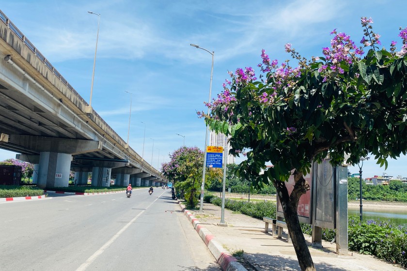 Ảnh minh hoạ: Ngọc Nga 