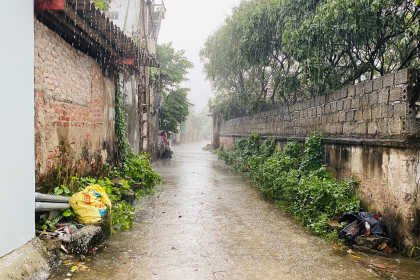 Ảnh minh hoạ: Ngọc Nga 