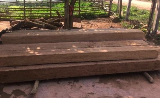 Gỗ lậu tang vật của vụ vi phạm lâm luật xảy ra tại xã Trọng Hóa, huyện Minh Hóa (Quảng Bình) trong dịp Tết.