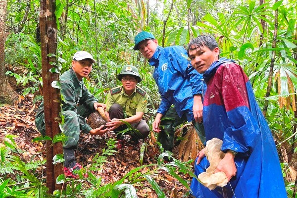 Tái thả động vật hoang dã về môi trường rừng tự nhiên sau khi cứu hộ, chăm sóc.