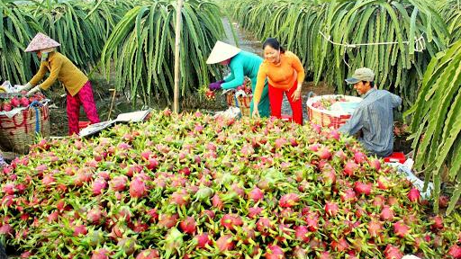 Bộ NN&PTNT đang nỗ lực để thúc đẩy tiêu thụ nông sản trong nước và xuất khẩu.