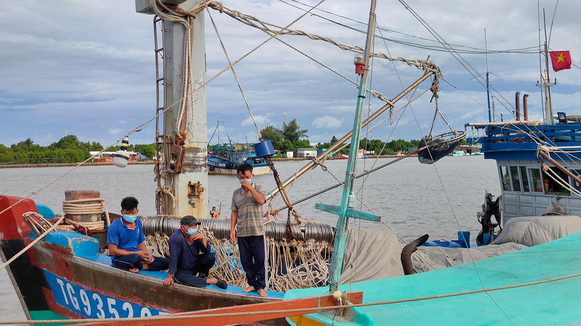 Tàu cá cặp bến để khai báo y tế.