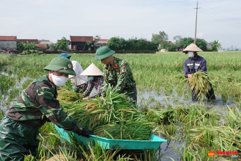 Thực hiện nhiệm vụ đặc thù, các quân nhân kiến nghị những chế độ, chính sách bảo đảm nhiệm vụ và quyền lợi. (Ảnh minh họa) 