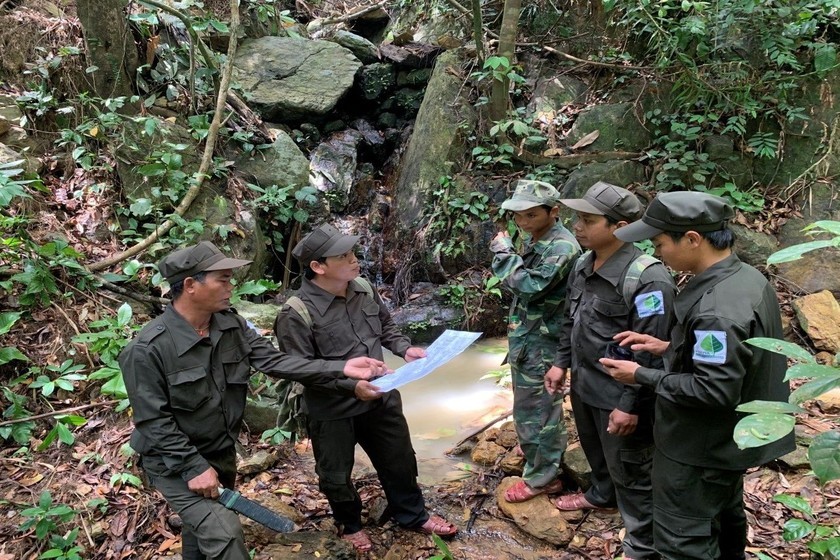 Nguồn thu từ thỏa thuận chi trả giảm phát thải sẽ là nguồn tài chính bổ sung quan trọng, góp phần hỗ trợ các hộ gia đình, cá nhân, cộng đồng thôn, bản trên địa bàn tỉnh nâng cao đời sống. (Ảnh: PV)