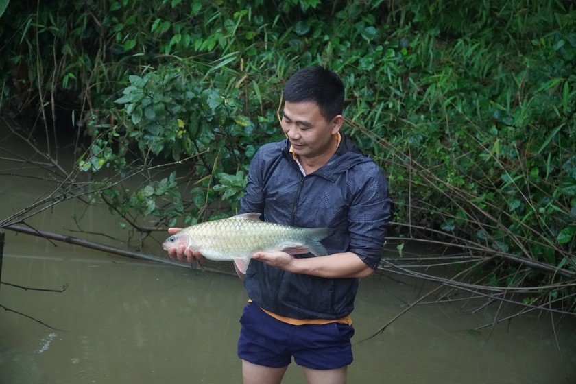 Cá bỗng và món gỏi cá bỗng.