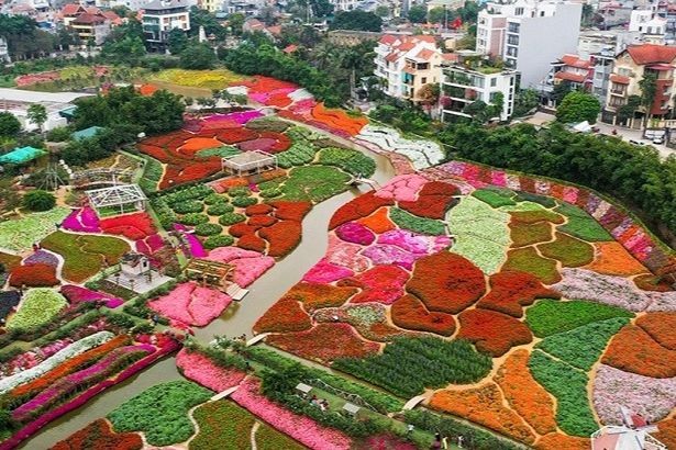 Thung lũng hoa hồ Tây, một điểm đến ưa thích của khách du lịch. (Ảnh minh họa)