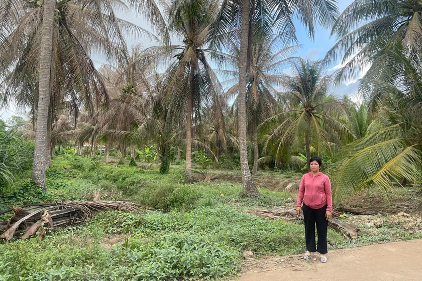 Bà Hoa bên khu đất. (Ảnh: Bùi Yên)