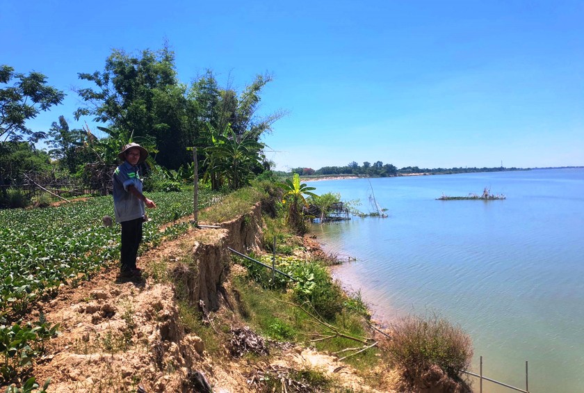 Nhiều diện tích đất sản xuất nông nghiệp dọc bờ sông Thu Bồn (đoạn qua thôn Nhị Dinh 3) đã bị cuốn trôi. (Ảnh: Vũ - Huy)