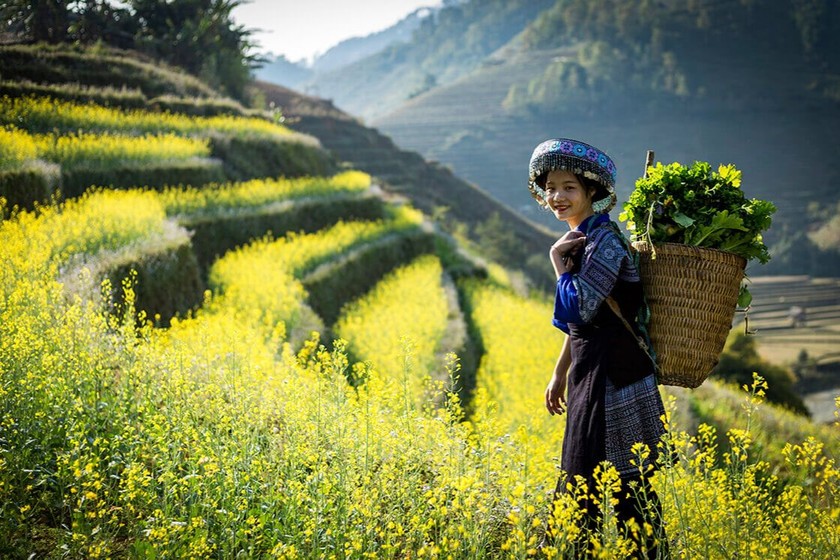 Khí hậu vùng núi cao giúp cải thiện lượng oxy trong máu, giúp con người ngủ ngon, sống thọ hơn. (Nguồn: AT)