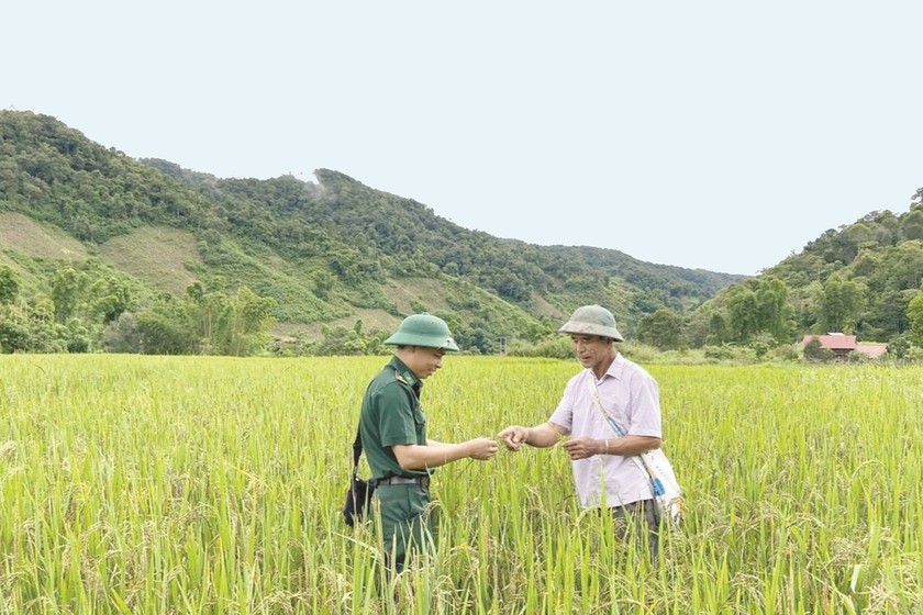 Khai khẩn đất hoang thành ruộng trồng lúa nước ở xã Sín Thầu. (Ảnh: Thanh Tùng)