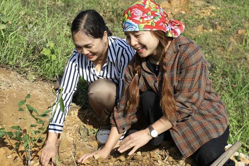 Mô hình sinh kế từ chuyển đổi cơ cấu cây trồng do HTX Goong thực hiện.