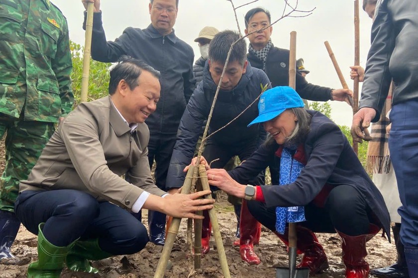 Bộ trưởng Bộ Tài nguyên và Môi trường Đỗ Đức Duy cùng đại diện UNDP Việt Nam và các đại biểu trồng cây tại Khu Bảo tồn thiên nhiên đất ngập nước Thái Thụy. (Ảnh: UNDP Việt Nam )