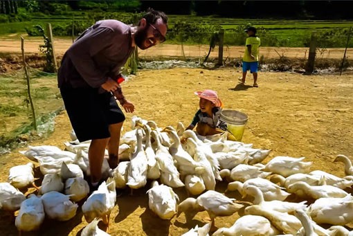 Trải nghiệm “Duck Stop” ở Phong Nha thân thiện với các gia đình có trẻ em. (Ảnh: Oxalis Adventure)