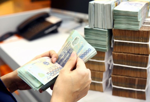Bộ Nội vụ hướng dẫn thực hiện quản lý lao động, tiền lương, thù lao, tiền thưởng đối với các Quỹ tài chính, các Tổ chức tài chính và VTV. (Ảnh minh họa: VGP) 