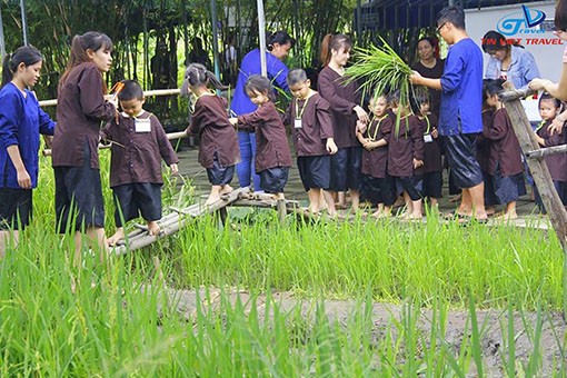 Các em được học cấy lúa. (Ảnh: Tin Viet Travel)
