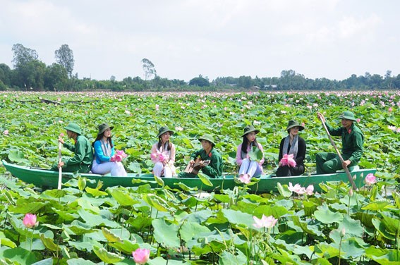 Bình yên bên những cánh sen bạt ngàn trên vùng Đồng Tháp Mười. (Ănh: Viện PTDLCA)