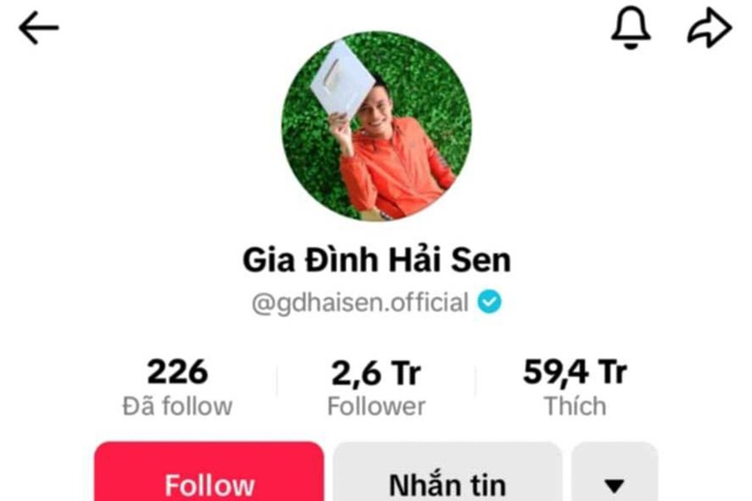 Kênh TikTok 2,6 triệu lượt follow "Gia đình Hải Sen" (Ảnh chụp màn hình)
