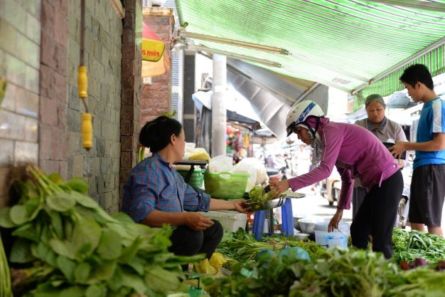 Vẫn loay hoay tìm rau sạch