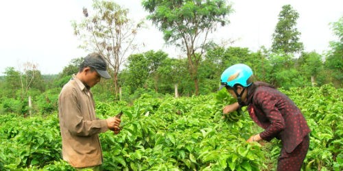 “Buộc” trách nhiệm của doanh nghiệp với sinh kế của người dân