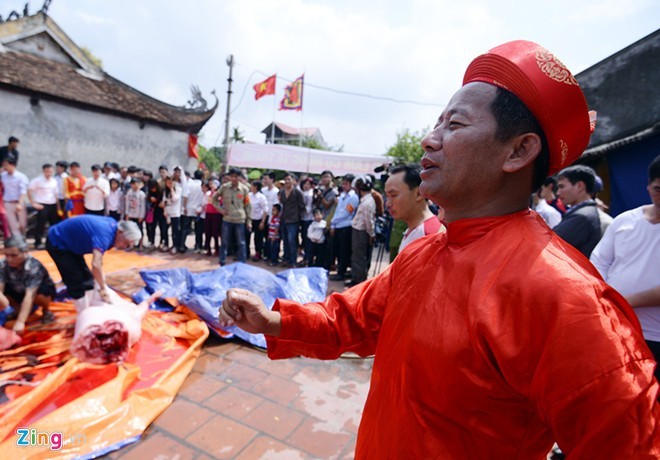 AAF đề xuất, ban tổ chức lễ hội làng Ném Thượng có thể chấm dứt hoàn toàn phần lễ chém lợn, hoặc thay thế bằng hình thức khác nhân văn hơn thay vì sử dụng động vật để lễ hội này thực sự là nét đẹp văn hóa của người Việt. Ảnh: Lê Hiếu.