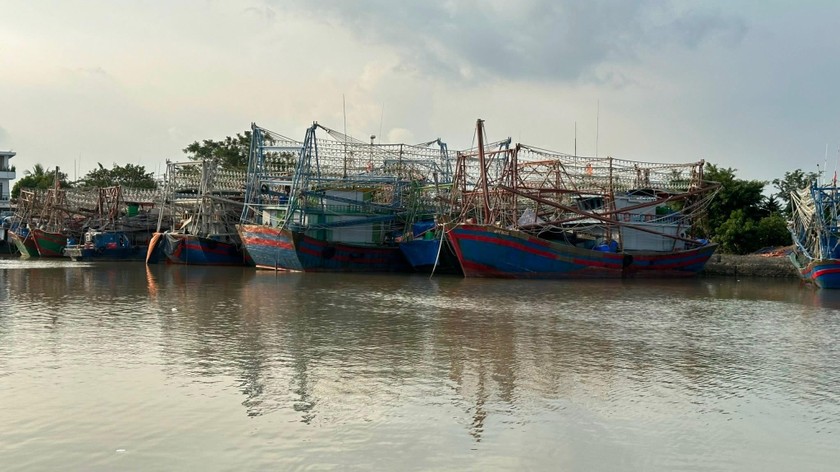 Hải Phòng đang tổng kiểm tra, rà soát toàn bộ tàu cá trên địa bàn.