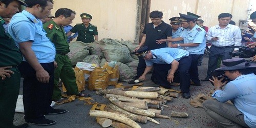 Tiêu hủy tang vật để các đối tượng buôn lậu “chùn tay”?