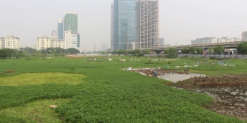 Hà Nội: Rùng mình chứng kiến "hành trình" của rau muống bẩn