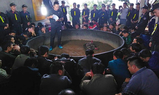 Hơn 100 cảnh sát mật phục phá sới chọi gà 'khủng' của 'quý bà'