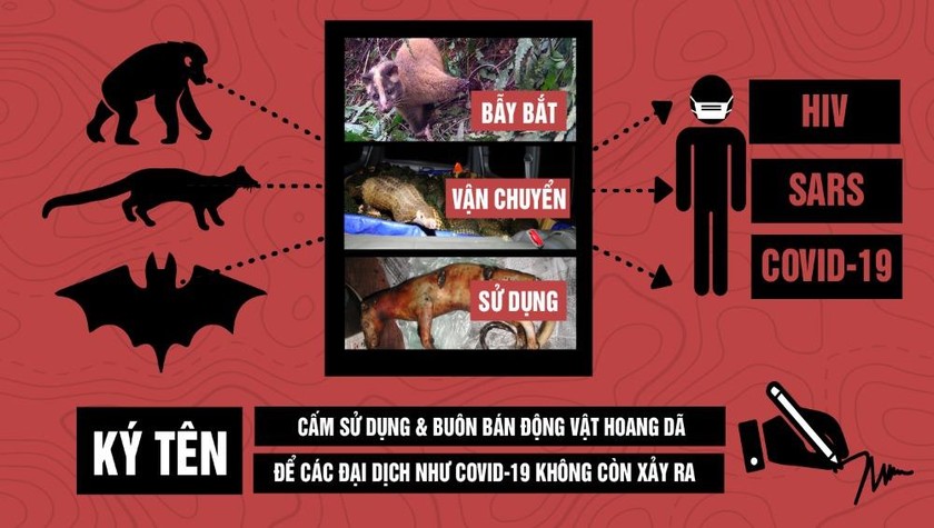 Kiến nghị cấm sử dụng động vật hoang dã làm thức ăn, thú cưng