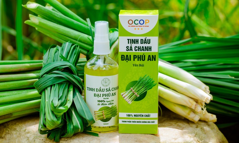 Tinh dầu sả chanh được chiết xuất từ những cây sả chanh thiên nhiên chứ không như nhiều người vẫn lầm tưởng.