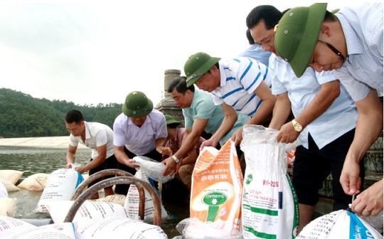 Bí thư tỉnh uỷ Quảng Ninh Nguyễn Văn Đọc thả cá giống để tái tạo nguồn lợi thuỷ sản