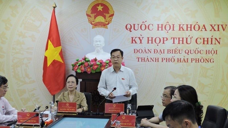 Đại biểu Quốc hội Mai Hồng Hải.