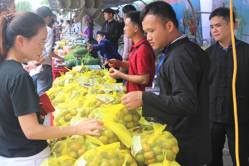 Hồng không hạt Bắc Kạn lần đầu tiên được giới thiệu ở thủ đô Hà Nội