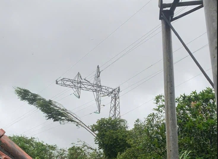 Nhiều đường dây điện 500 kV, 220 kV bị gãy đổ do bão số 3