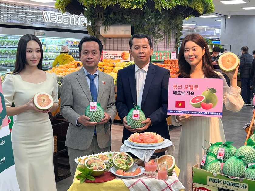 Bưởi Việt Nam xuất hiện trên kệ siêu thị Lotte Hàn Quốc