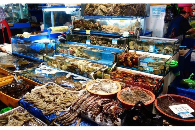 Có hộ kinh doanh thủy hải sản có doanh thu 560 tỷ đồng/năm