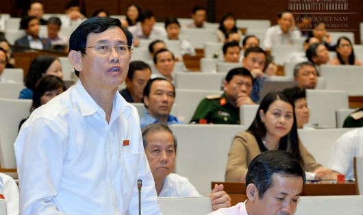 ĐB Nguyễn Ngọc Phương.