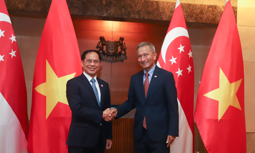 Bộ trưởng Ngoại giao Bùi Thanh Sơn và Bộ trưởng Ngoại giao Singapore Vivian Balakrishnan. 