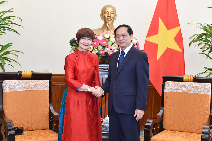 Bộ trưởng Ngoại giao Bùi Thanh Sơn tiếp bà Simona-Mirela Miculescu, Chủ tịch Đại hội đồng UNESCO.