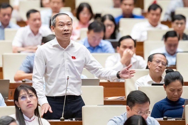 Đại biểu Phan Đức Hiếu.