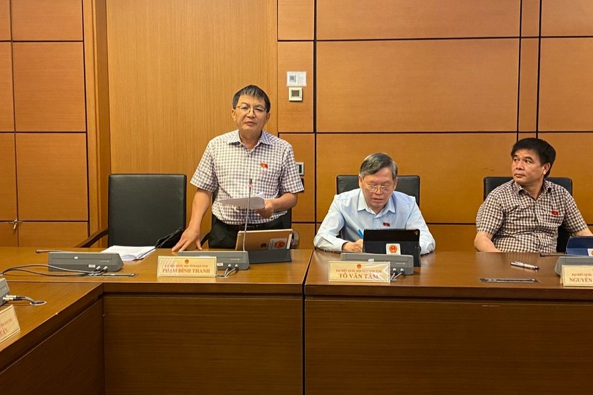 Đại biểu Phạm Đình Thanh phát biểu tại phiên họp.