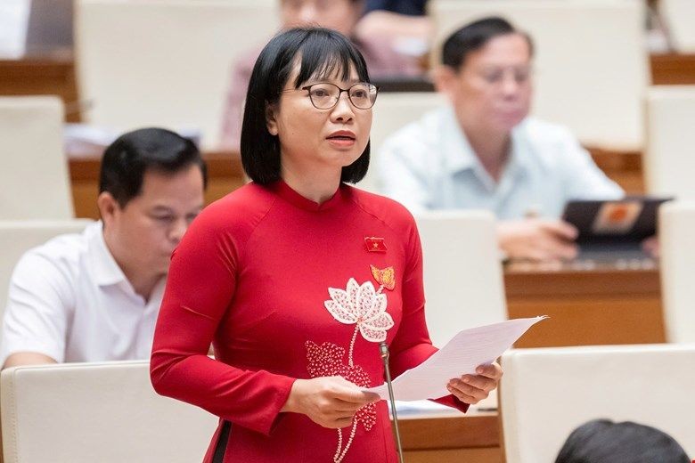 Đại biểu Nguyễn Thị Việt Nga phát biểu tại phiên họp.