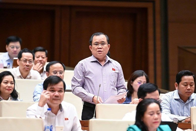 Đại biểu Nguyễn Tâm Hùng phát biểu tại phiên họp.
